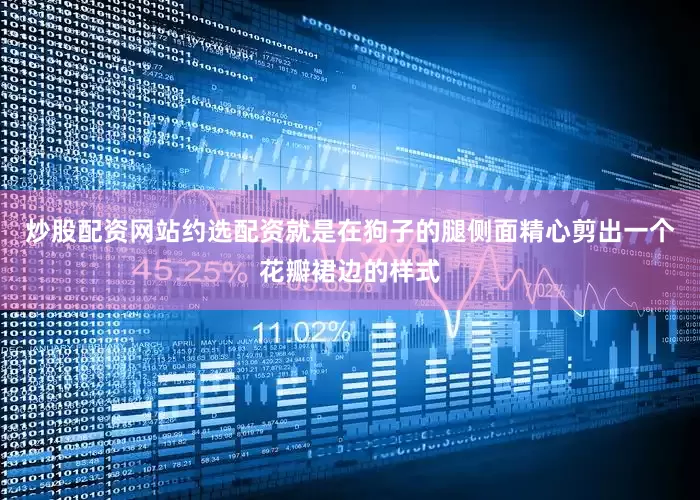 炒股配资网站约选配资就是在狗子的腿侧面精心剪出一个花瓣裙边的样式