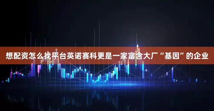 想配资怎么找平台英诺赛科更是一家富含大厂“基因”的企业
