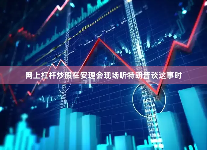网上杠杆炒股在安理会现场听特朗普谈这事时
