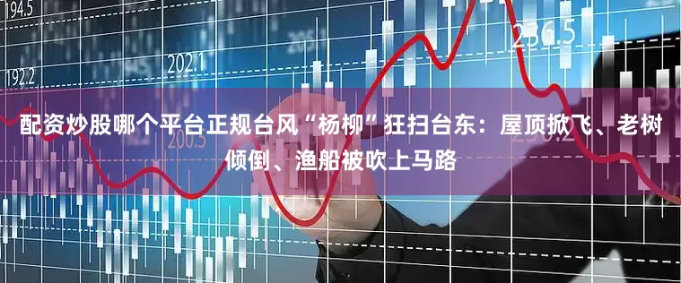 配资炒股哪个平台正规台风“杨柳”狂扫台东：屋顶掀飞、老树倾倒、渔船被吹上马路